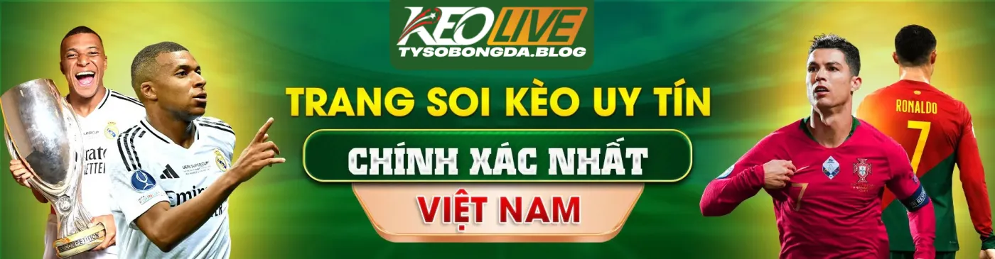 banner tysobongda blog