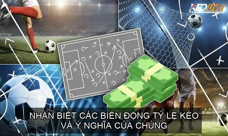 Nhận biết các biến động tỷ lệ kèo và ý nghĩa của chúng