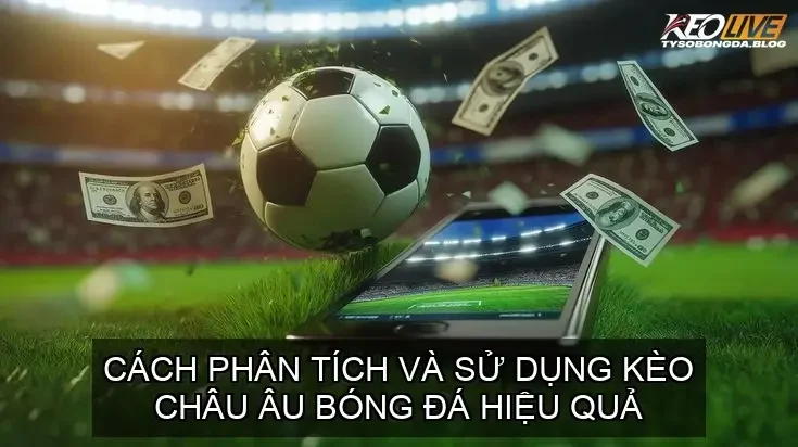 Phân tích dữ liệu trận đấu và các yếu tố liên quan