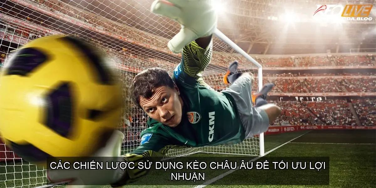 Các chiến lược sử dụng kèo châu Âu để tối ưu lợi nhuận