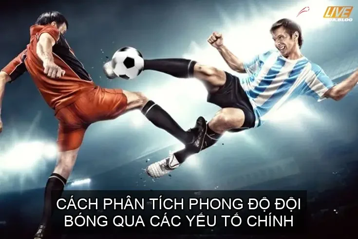 Thành tích đối đầu giữa hai đội