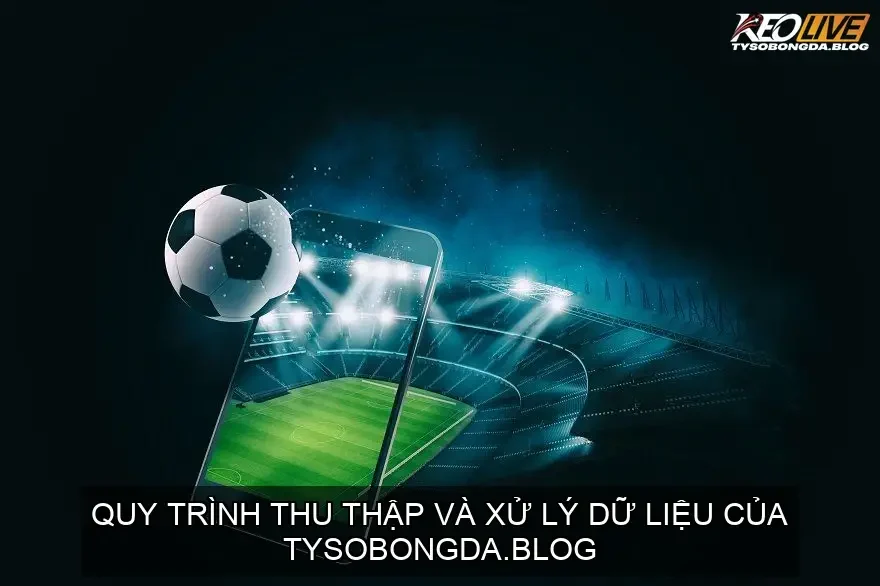 Quy trình thu thập và xử lý dữ liệu của tysobongda.blog