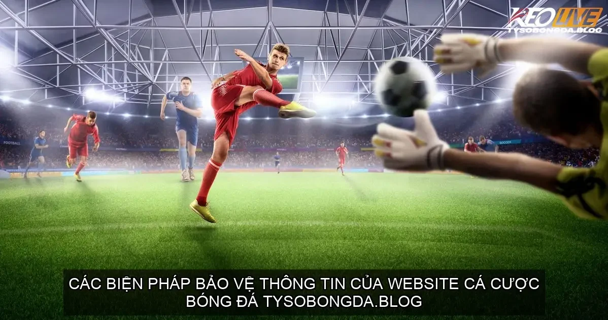 Các biện pháp bảo vệ thông tin của website cá cược bóng đá tysobongda.blog