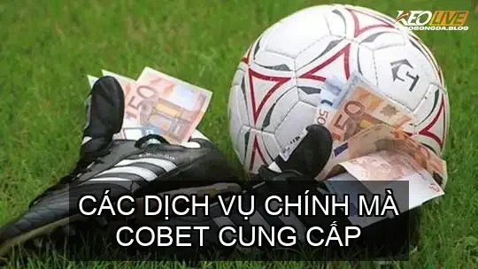 Các Dịch Vụ Chính Mà COBET Cung Cấp