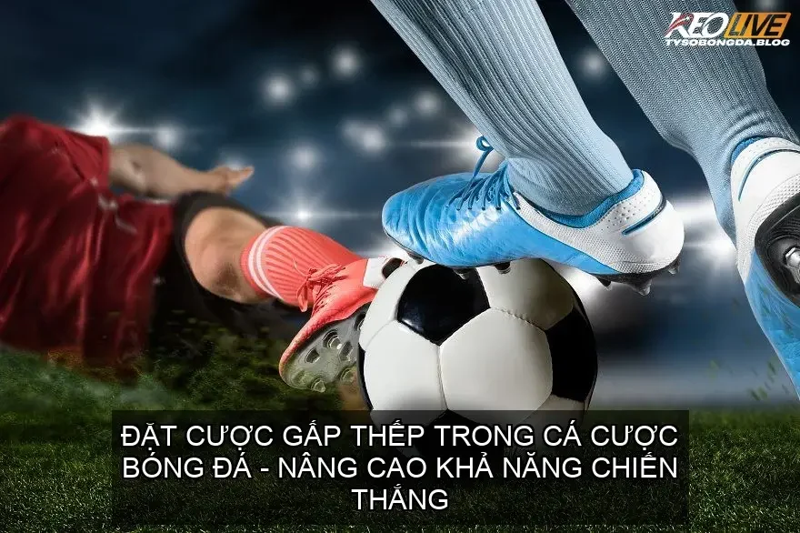 dat cuoc gap thep 68d74a2f4805e