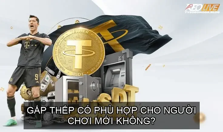 Gấp thếp có phù hợp cho người chơi mới không?