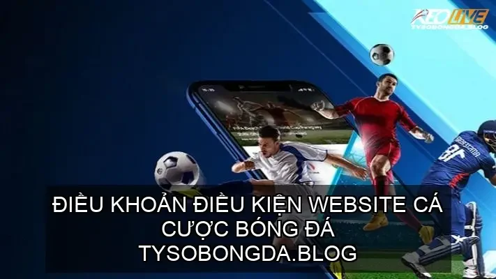 dieu khoan dieu kien 68d74a091c1f9