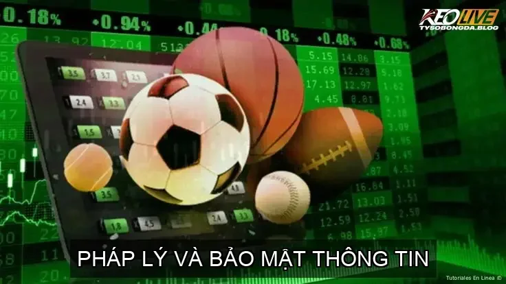 Pháp lý và bảo mật thông tin