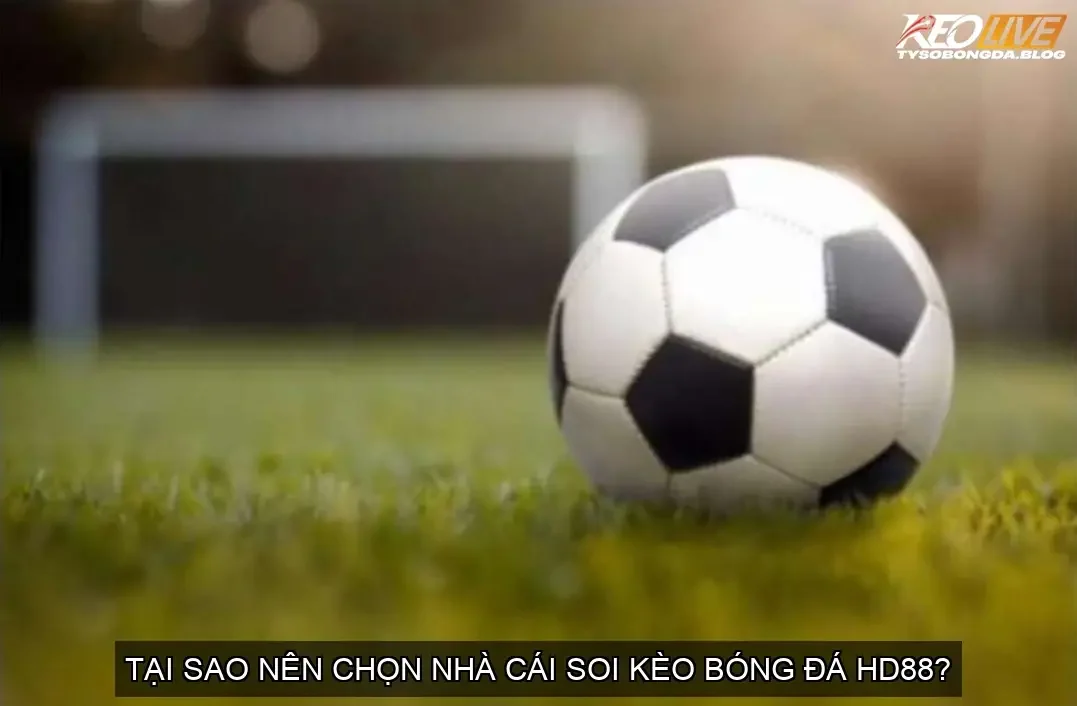 Giao Diện Thân Thiện và Dễ Sử Dụng