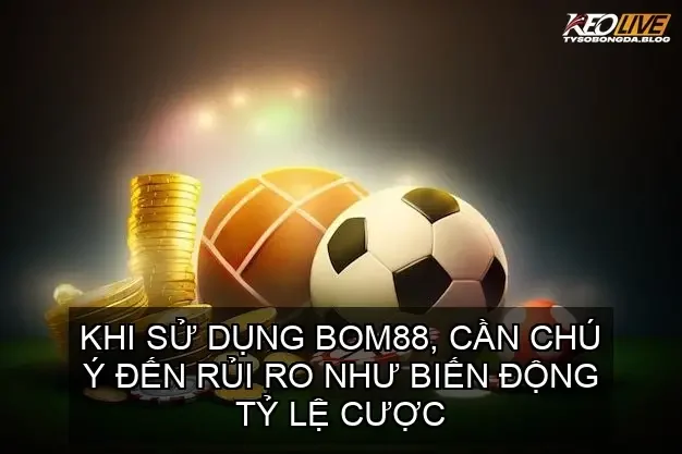 Rủi Ro Và Cách Giảm Thiểu