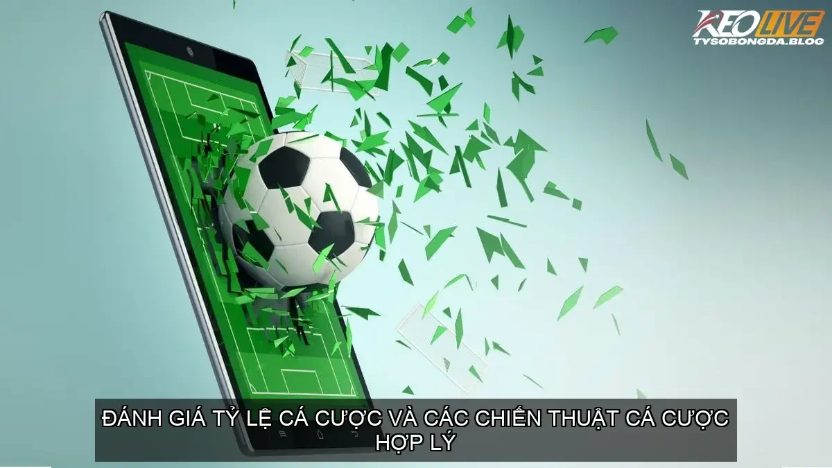 Phân tích tỷ lệ cược và dự đoán xu hướng biến động