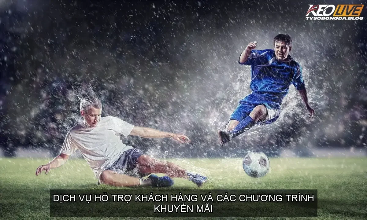 Chương Trình Khuyến Mãi và Ưu Đãi