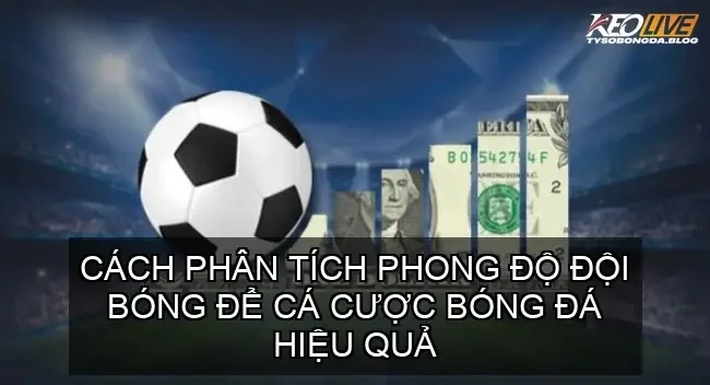 phan tich phong do doi bong 68d74a37adae1