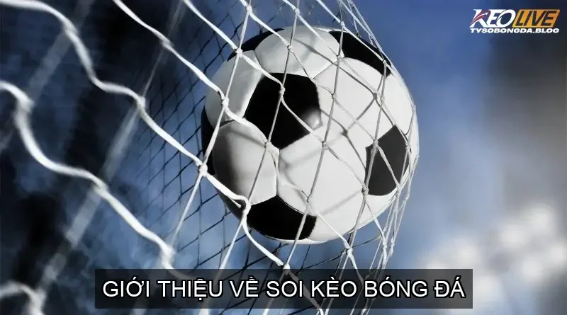 Tầm quan trọng của soi kèo đối với người hâm mộ