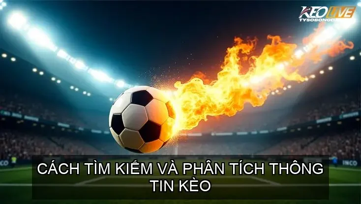 Cách Tìm Kiếm Và Phân Tích Thông Tin Kèo
