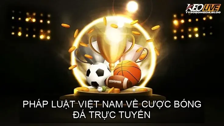 Pháp luật Việt Nam về Cược Bóng Đá Trực Tuyến