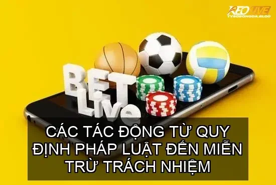 Các Tác Động Từ Quy Định Pháp Luật Đến Miễn Trừ Trách Nhiệm