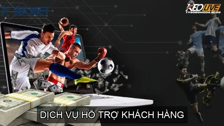 Dịch Vụ Hỗ Trợ Khách Hàng