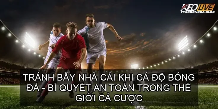 tranh bay nha cai 68d74a26cb9de