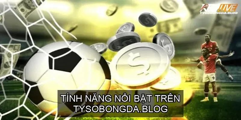 Cung cấp thông tin đa dạng về các giải đấu