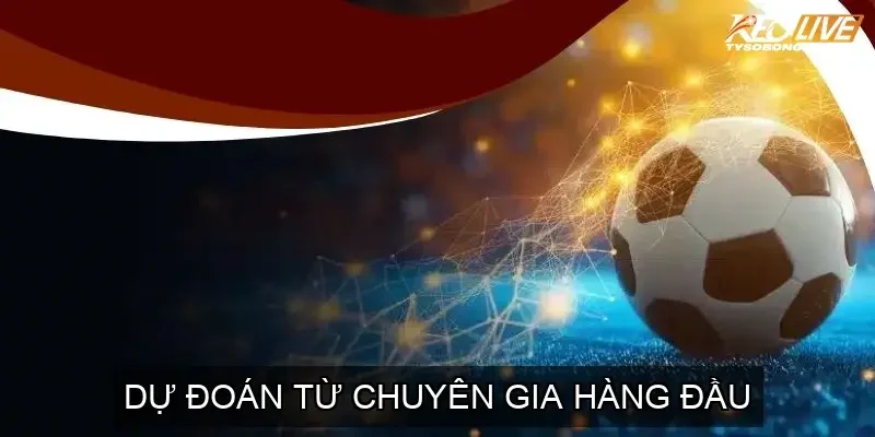 Dự đoán từ chuyên gia hàng đầu