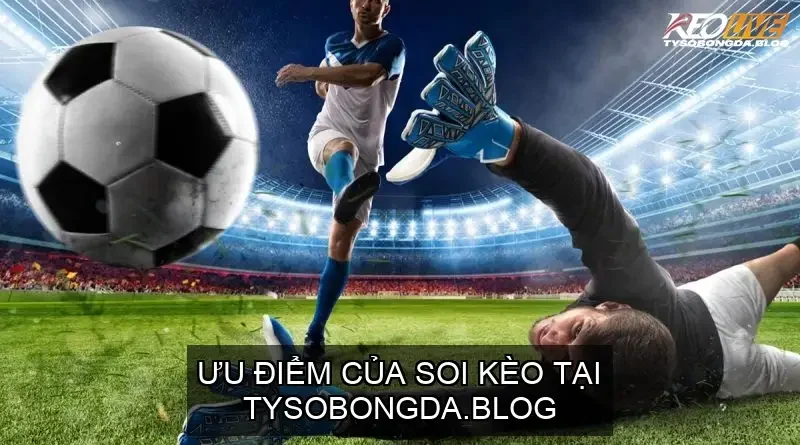 Ưu điểm của soi kèo tại tysobongda.blog