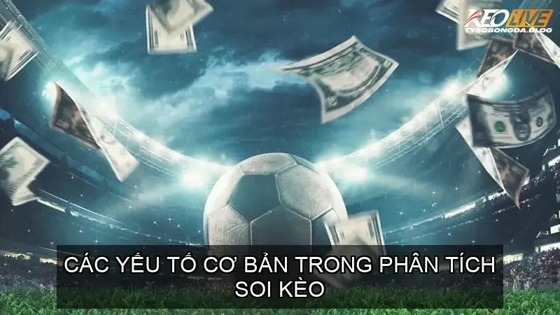 Các yếu tố cơ bản trong phân tích soi kèo